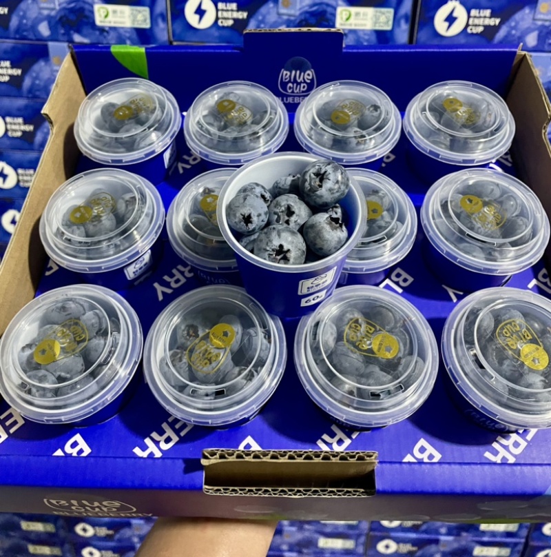 云南蓝莓长年批发蓝莓新鲜散果盒装礼盒装