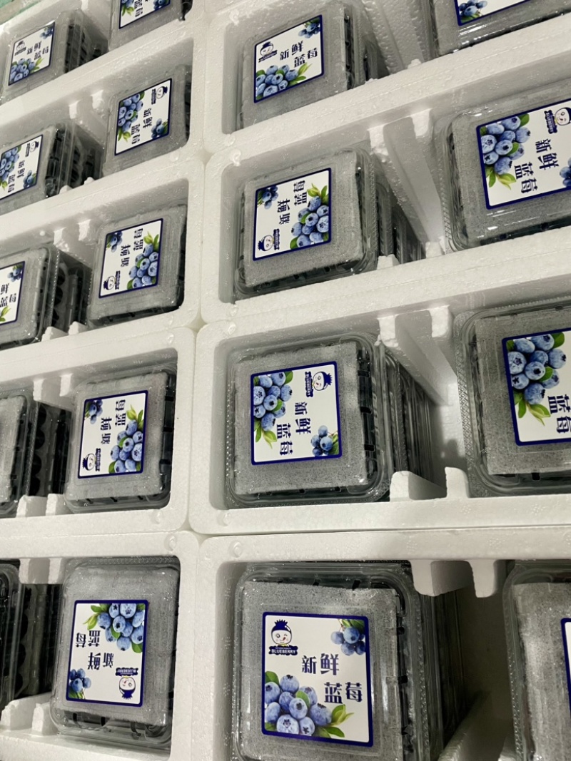 云南蓝莓长年批发蓝莓新鲜散果盒装礼盒装