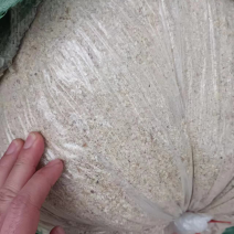 饲料蒜粉