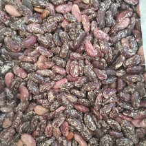 四季豆（花红豆）