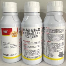 28-表芸苔素内脂保花保果抗病增产解药害生根壮苗调节剂