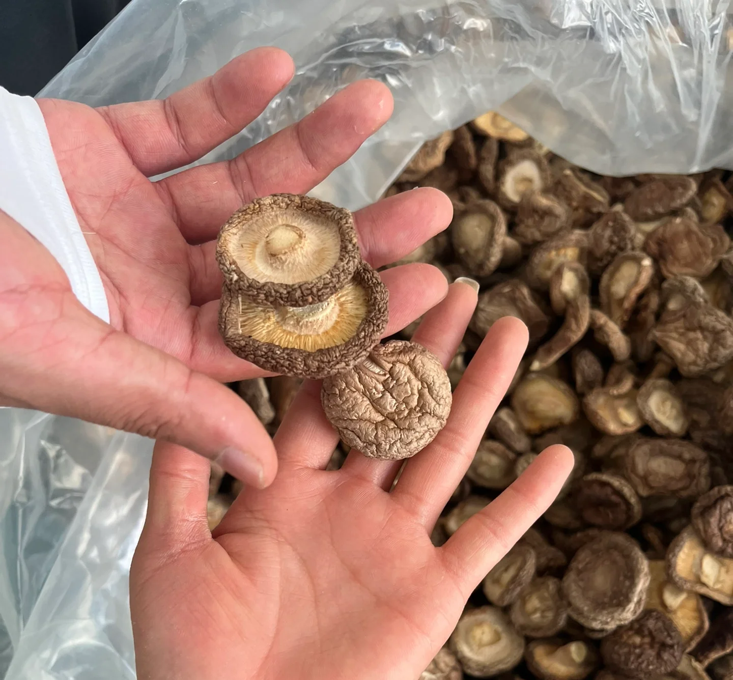 干香菇与虾仁翻炒过程