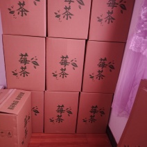 湖南湘西藤茶，自产自销批发，茶农，一手货源场地
