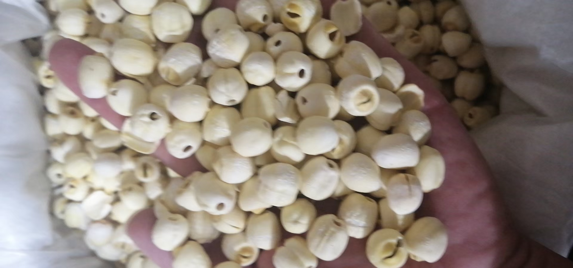 湘莲炖煮过程图