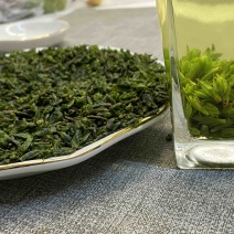 青山绿水小叶苦丁茶