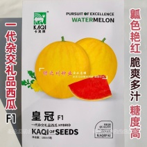皇冠黄皮红肉礼品西瓜种子早熟特色小西瓜种籽瓤色艳红含糖量