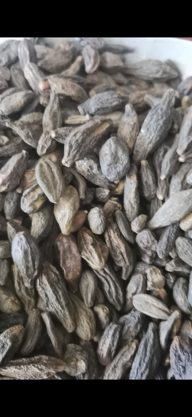 [橄榄批发]青果 西青果 泽润中药 批发零售各种中药材价格30.