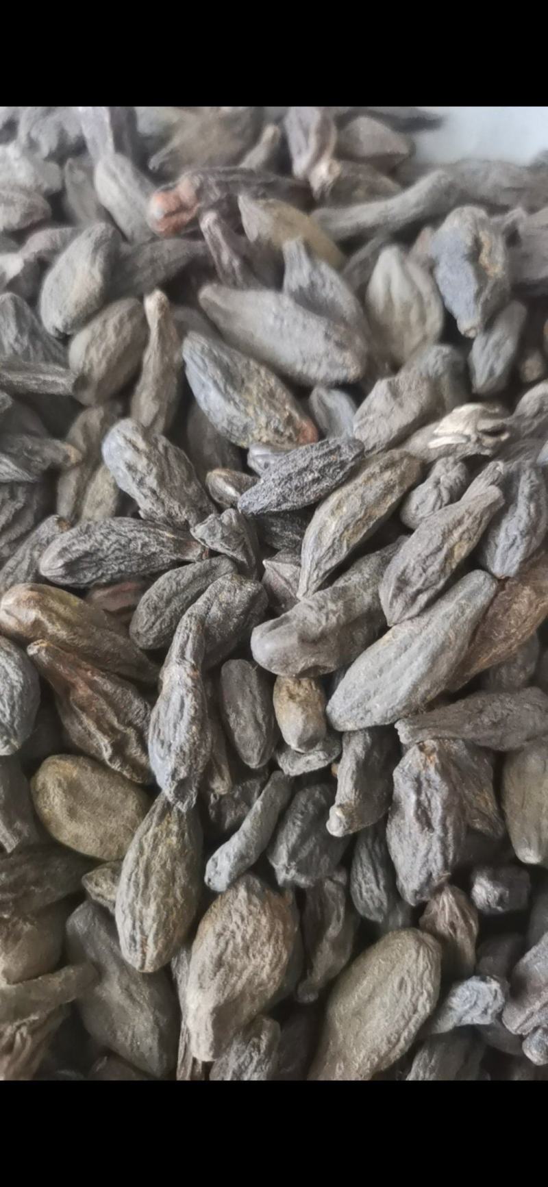 [橄榄批发]青果 西青果 泽润中药 批发零售各种中药材价格30.