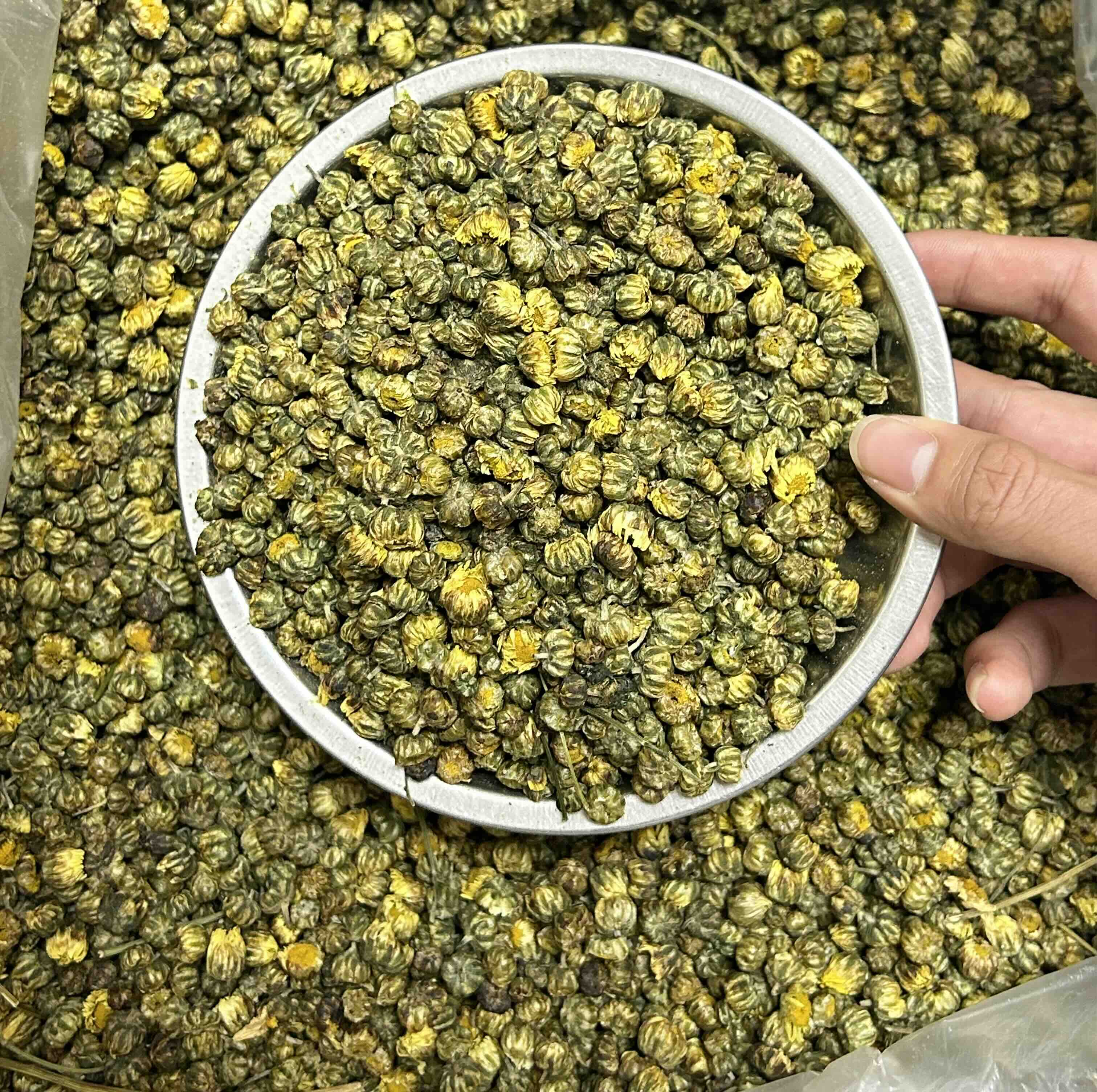 胎菊王与枸杞搭配泡茶,展现其养生搭配方式 胎菊王与枸杞搭配泡茶图