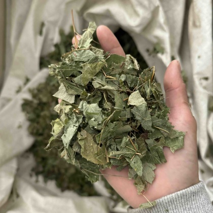 湖北恩施建始县产地行情