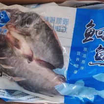 开背清江鱼叉尾鮰鱼烤鱼半成品工厂活鱼现沙