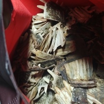 甲鱼壳