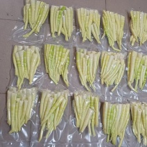 苦笋黄甘笋大量上市，产地直发有量有价