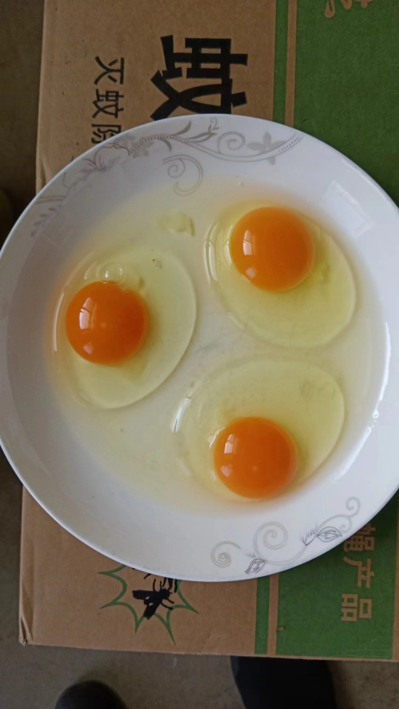 厂家直销,红心蛋