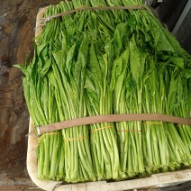 青岩古辣菜苔