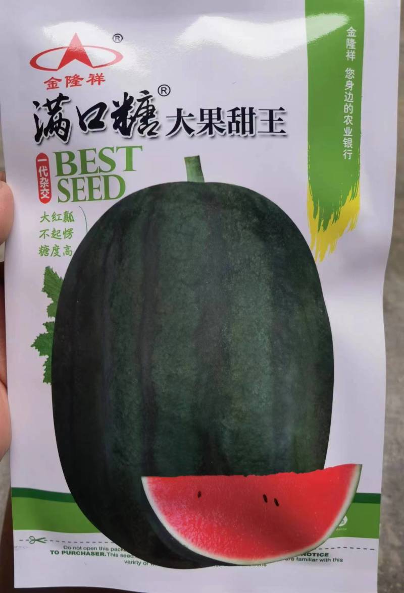 满口糖大果甜王西瓜种子,大红瓤,耐重茬,易管理