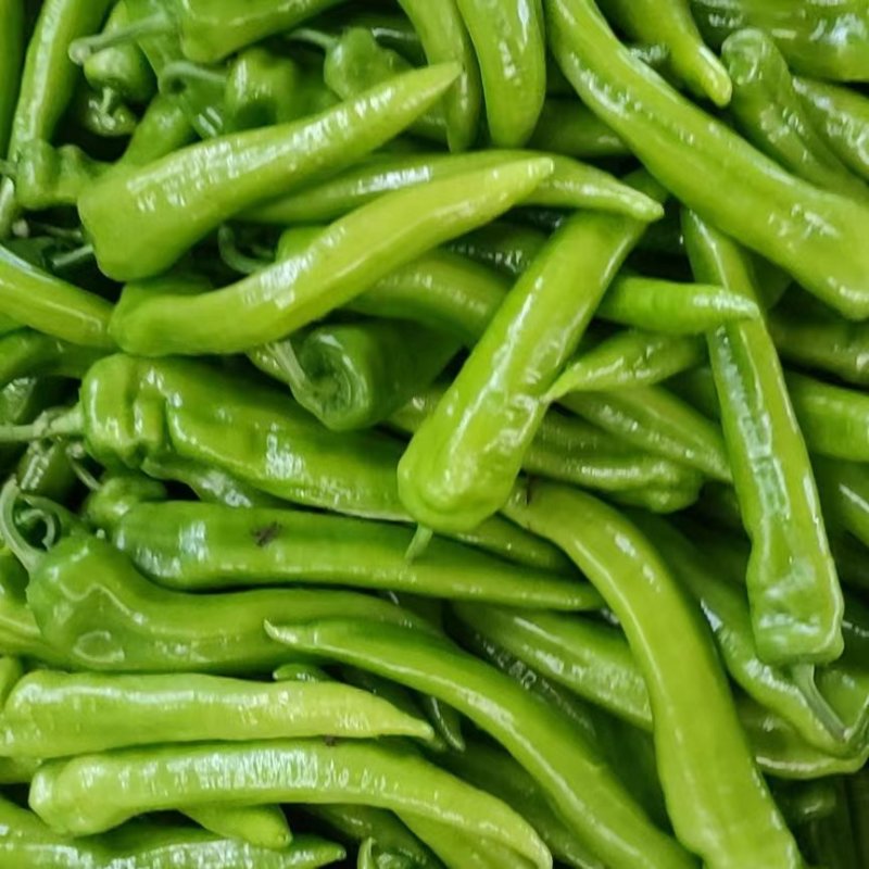 黄皮椒,精品黄皮尖椒产地,量大从优,保质保量,货源充足