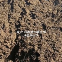 发酵好的油饼原料