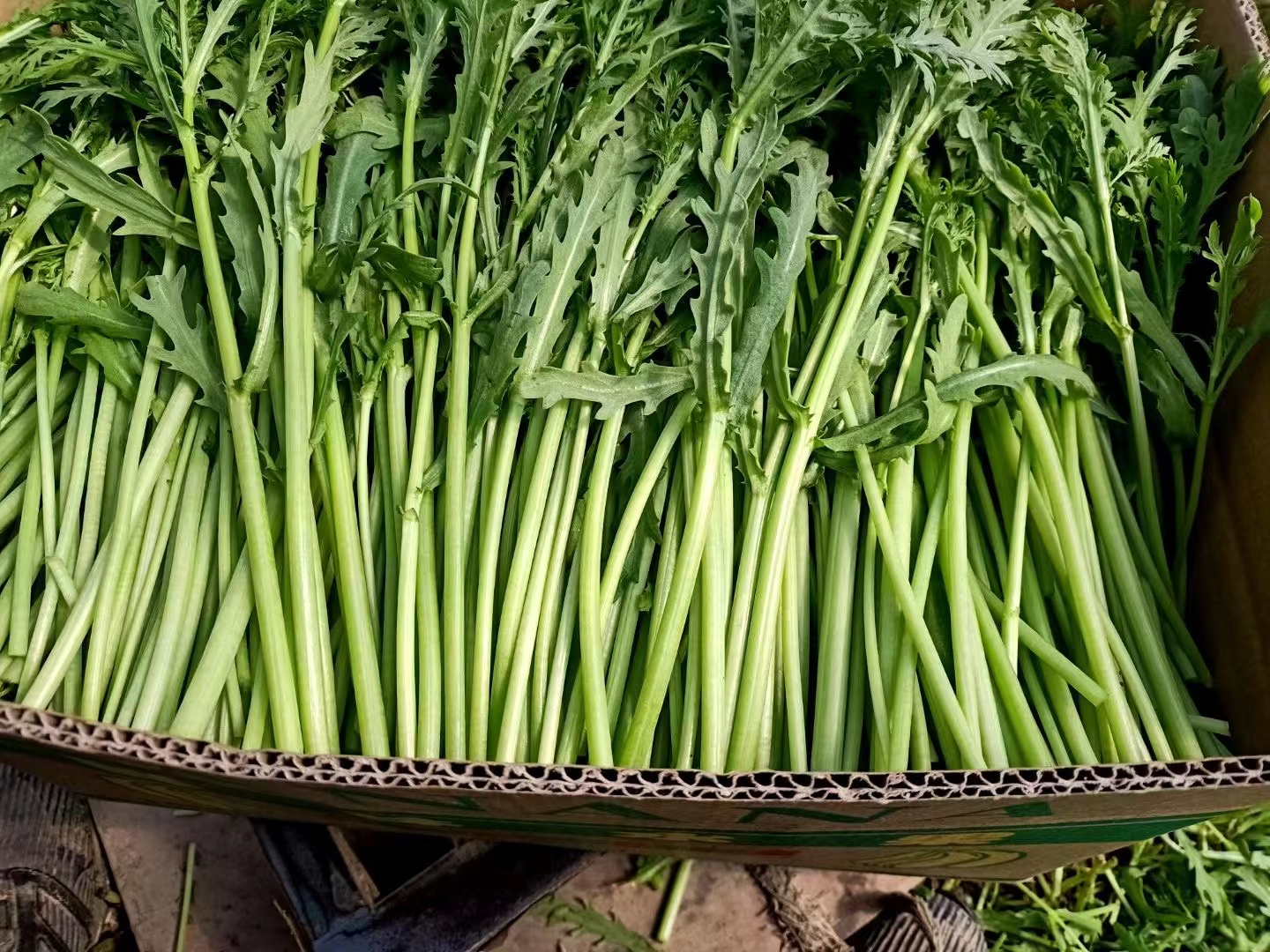 蒜蓉炒小叶茼蒿成品图