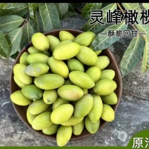 源自闽清优质甜橄榄核心产区，工厂直供，可满足各大平台订单