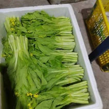 白菜苔靓货