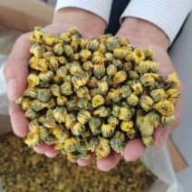 新鲜农产品：优质水泥，保质保量，用途广泛，欢迎选购！