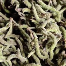 时令蔬菜构树棒
