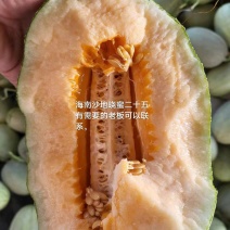 店家推荐海南晓蜜25哈密瓜沙地货代发全国一件代发电商团