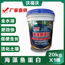 海藻鱼蛋白多效螯合有机水溶肥叶面肥厂家直供现