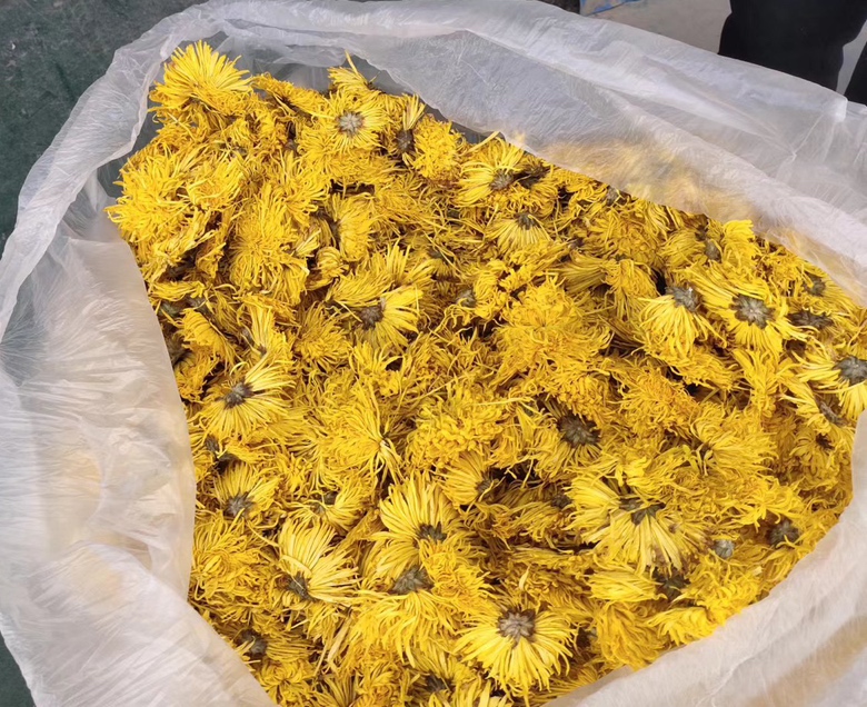 展示金丝皇菊枸杞茶的干茶形态与冲泡后的茶汤状态,菊花舒展,枸杞浮沉,整体色泽金黄透亮 金丝皇菊枸杞茶干茶与冲泡后对比图