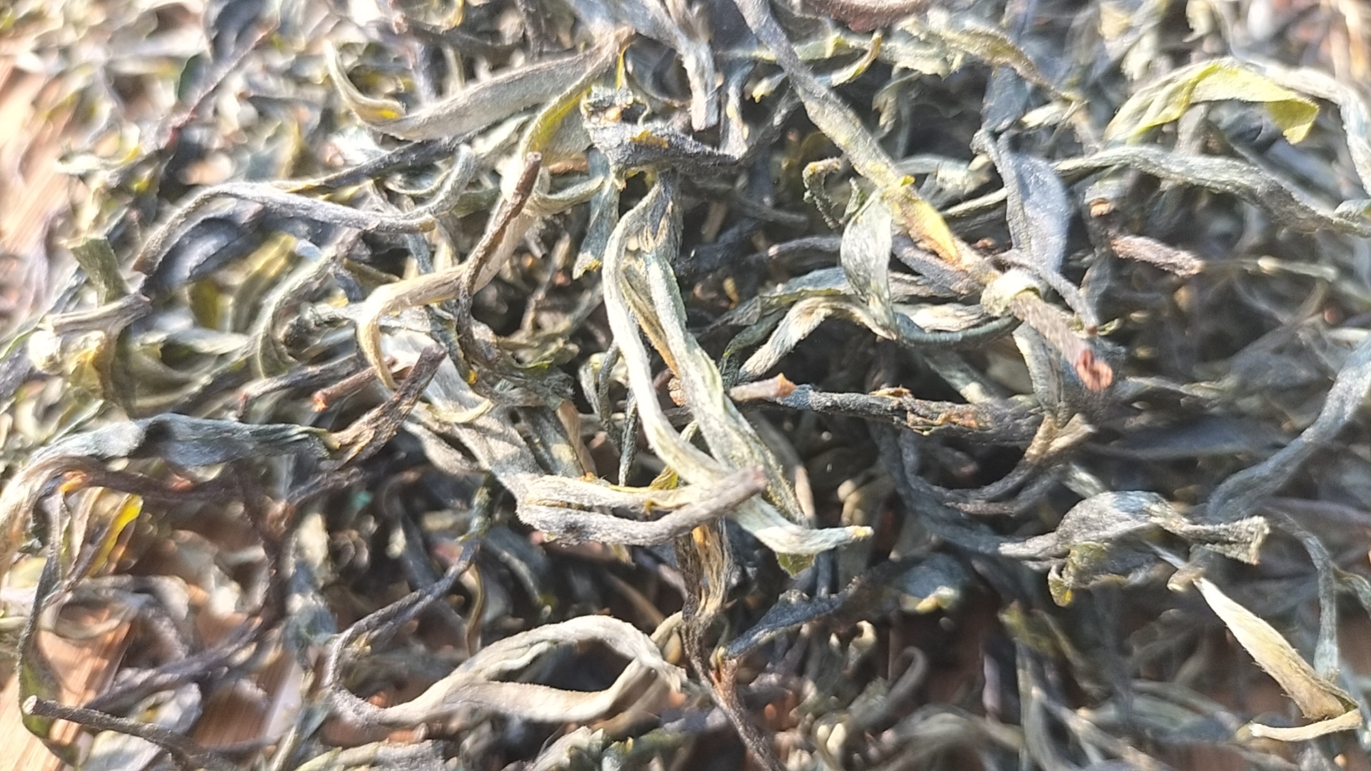 九曲红梅干茶与冲泡后的茶汤