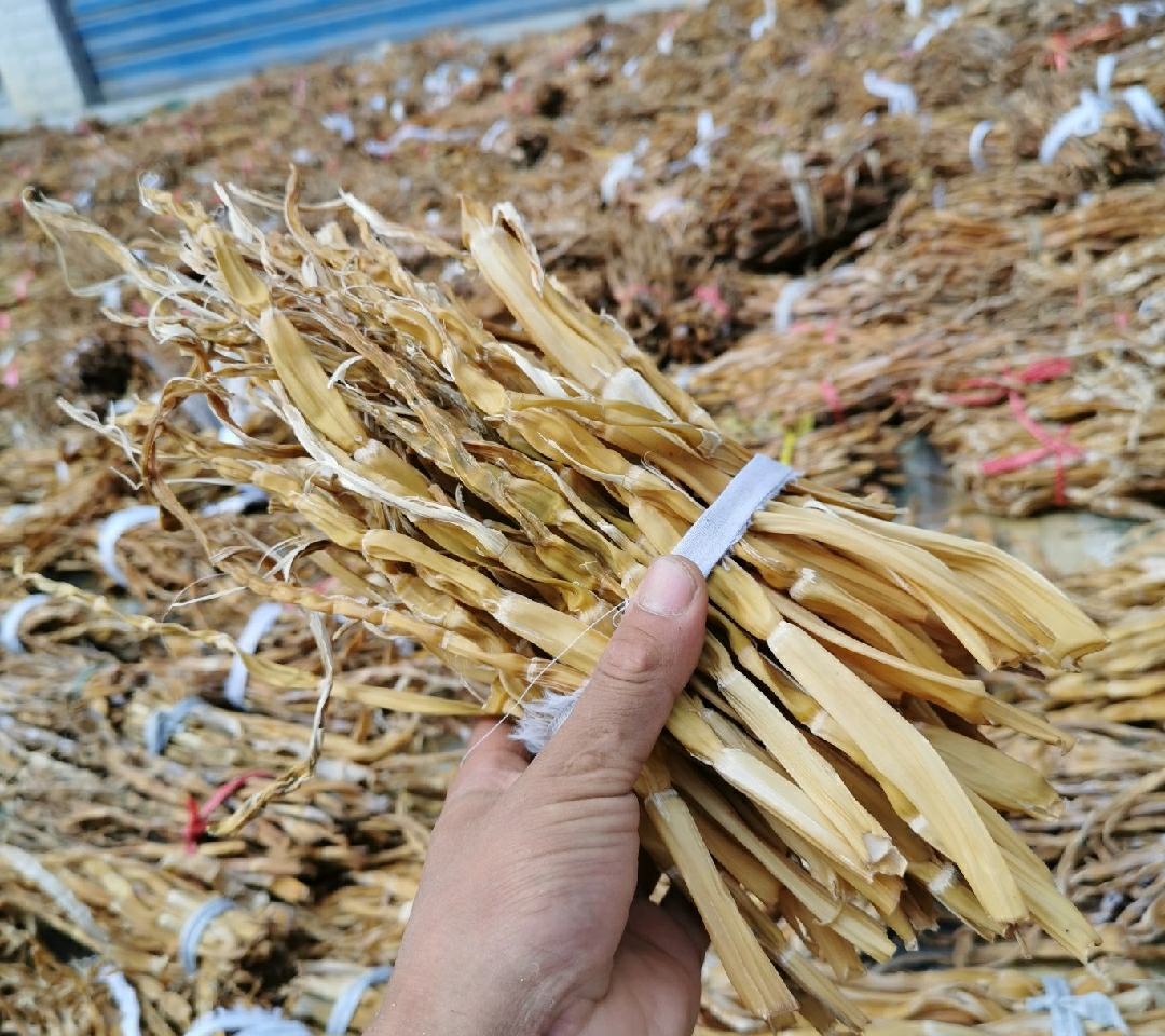 黄金间碧竹笋的特写展示