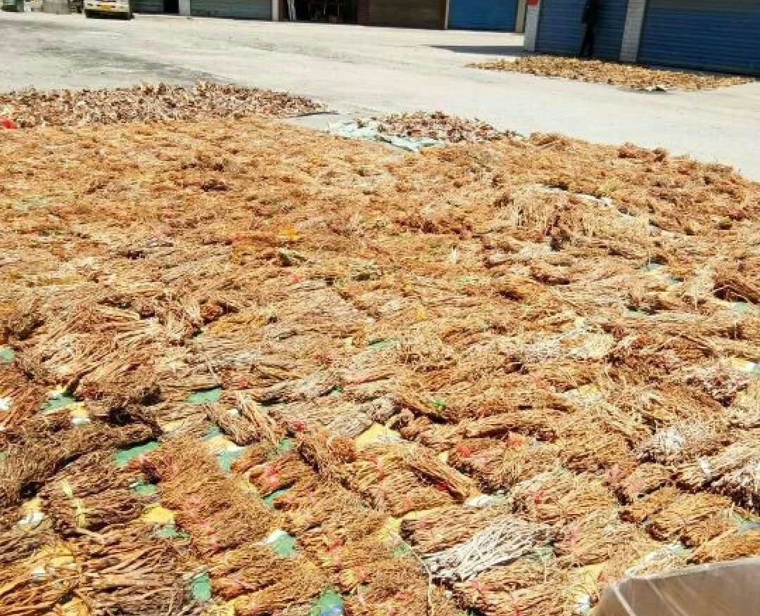 高清微距拍摄干竹笋实物:展示典型毛竹笋干形态——薄片状、浅琥珀色、表面细密皱纹与纵向纤维纹路清晰可见,无硫熏白斑,体现传统日晒工艺品质 干竹笋特写:淡黄至琥珀色片状或条状干制品,表面微皱有自然纹理,质地紧实略带光泽,置于竹编簸箕中,背景为江南竹林