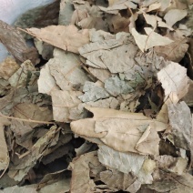 青钱柳，青钱柳叶无硫晒干货，一手货源保质保量，批发各种中