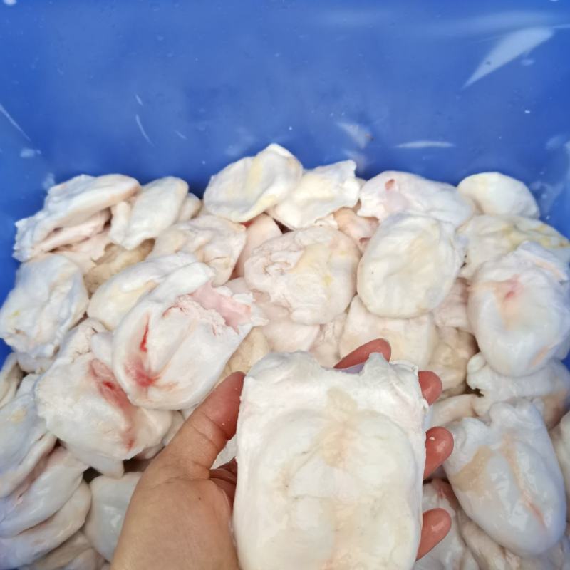 00/斤中药材鱼鳔 鱼螵 鱼胶 鱼肚 鱼膘 黄花胶 鱼漂胶 鱼鳔2人买过