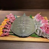 活体现杀甲鱼真空包装甲鱼老鳖团鱼王八水鱼甲鱼批发新鲜便宜
