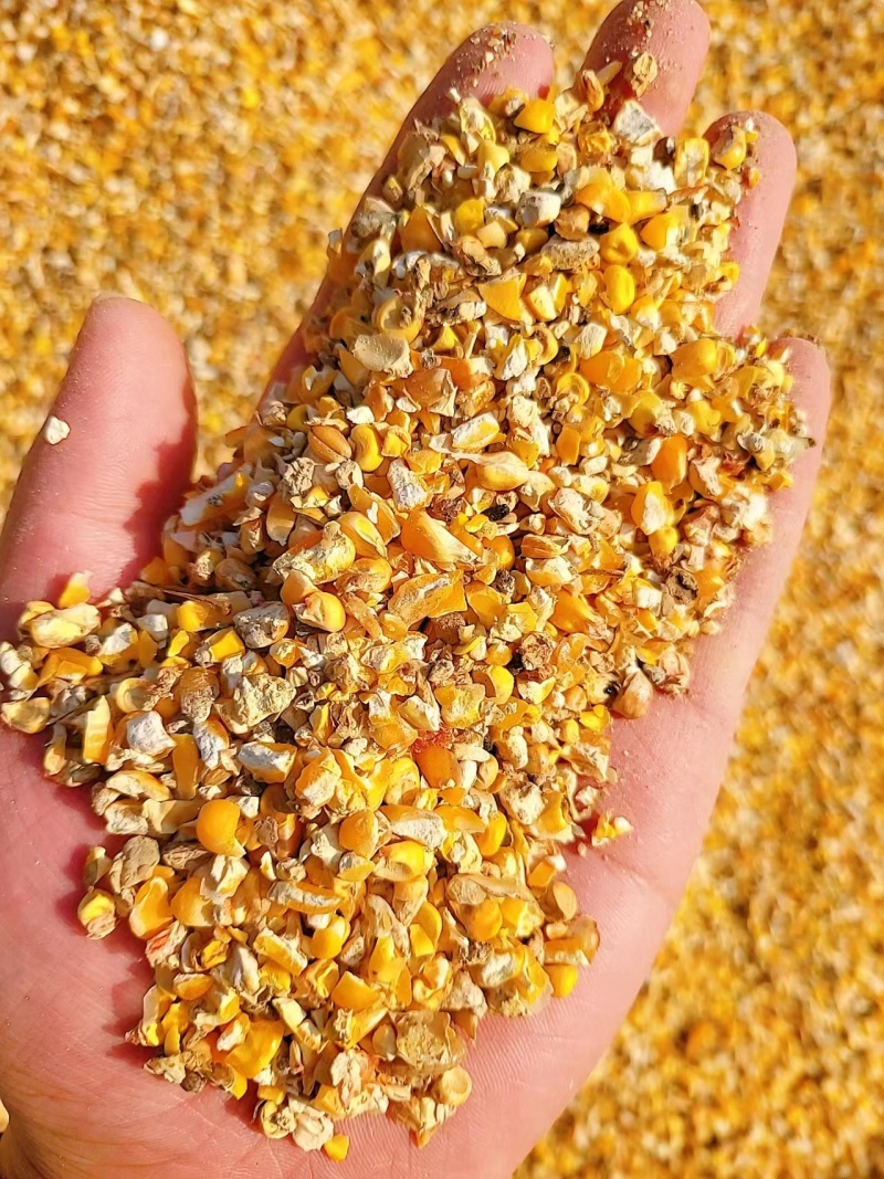 碎玉米,玉米碎,玉米下脚料,玉米漏,养殖玉米