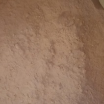 甜红薯面粉