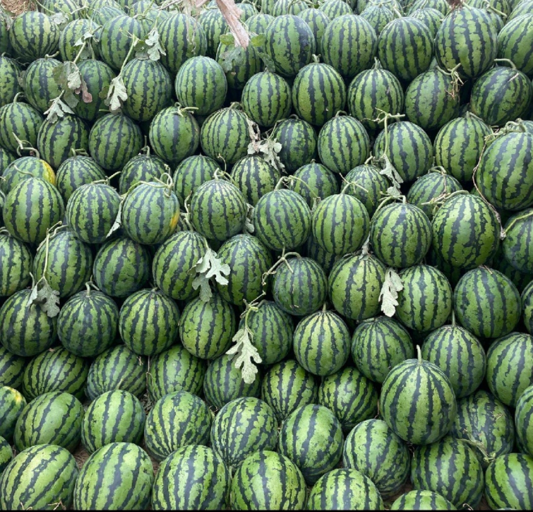 甜王西瓜在水果摊上堆叠展示