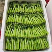 菜心