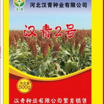 汉青二号株高一米二-一米三，中颗粒高粱积温二千七