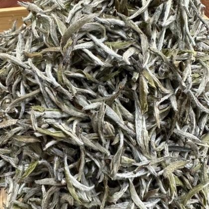 125克一铁盒正宗福鼎白毫银针大白茶福建宁德霞浦县