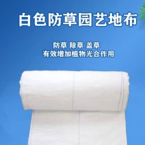 全新料白色反光防草布园艺地布，增光补光温室大棚除草布