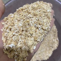 烘干大片麸皮