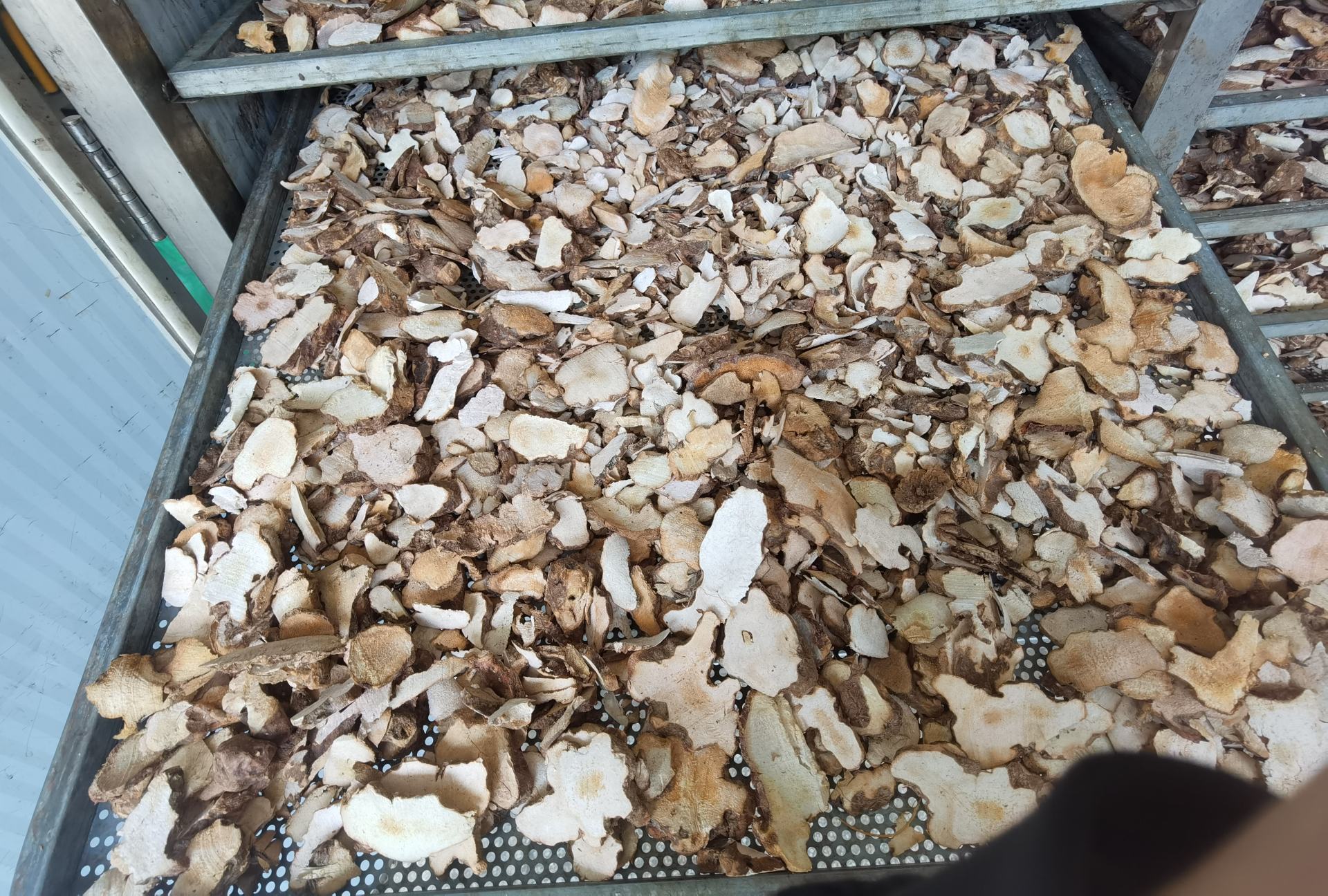 粉葛与土茯苓实物图