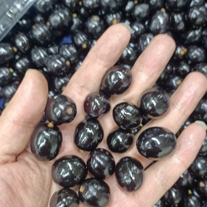 嘉宝果价格行情