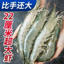 正常发顺丰包邮基围虾青岛大虾超大海虾鲜活冷冻白虾新鲜