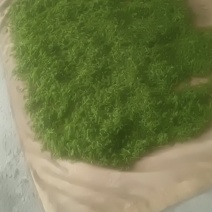 土家野生大山莓茶