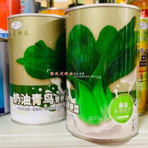 奶油青鸟青梗菜种子超耐热叶色绿油亮青菜种子甜嫩抗热