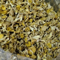 鸡油菌新鲜烘焙出炉，嘎嘎滴香脆！